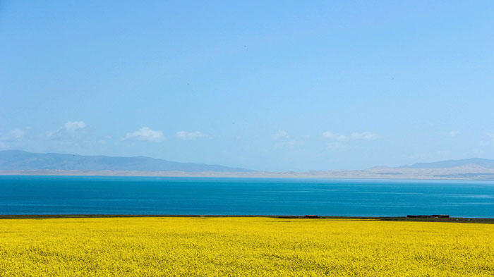 青海湖 青海湖