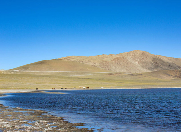 中國簽證F簽證去西藏入藏函辦理