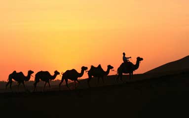 西安敦煌烏魯木齊8日遊